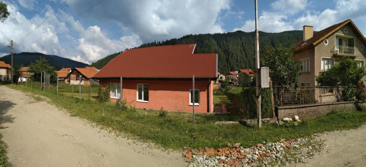Villa Irina - Govedarți Exterior foto