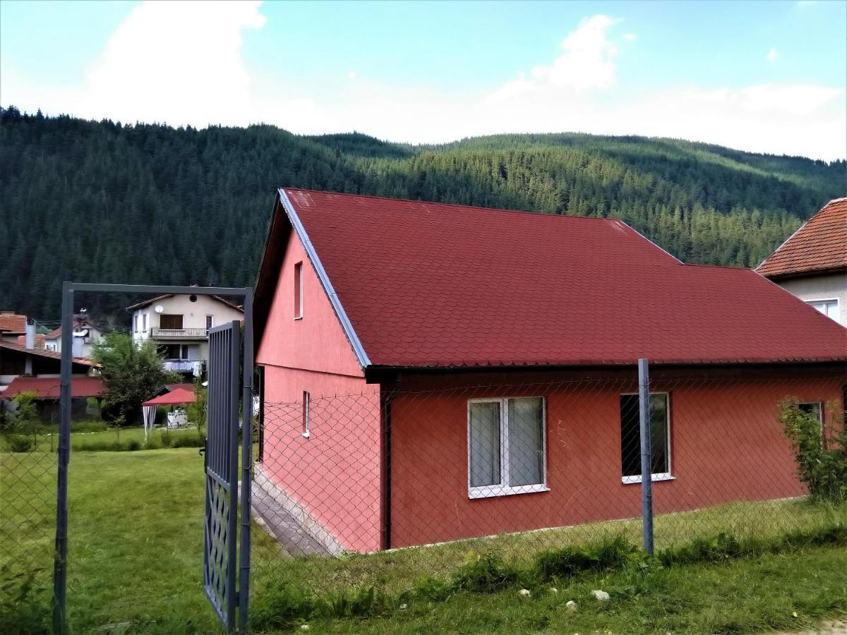 Villa Irina - Govedarți Exterior foto